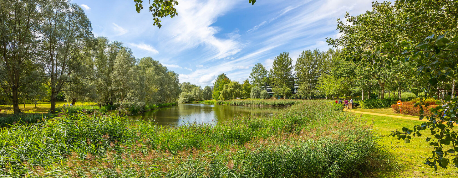 Green Park Awarded The Wildlife Trusts’ Biodiversity Benchmark for Eleventh Consecutive Year