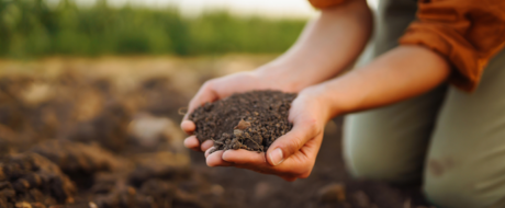 Person kneeling in a field cups dark, crumbly soil in their hands.