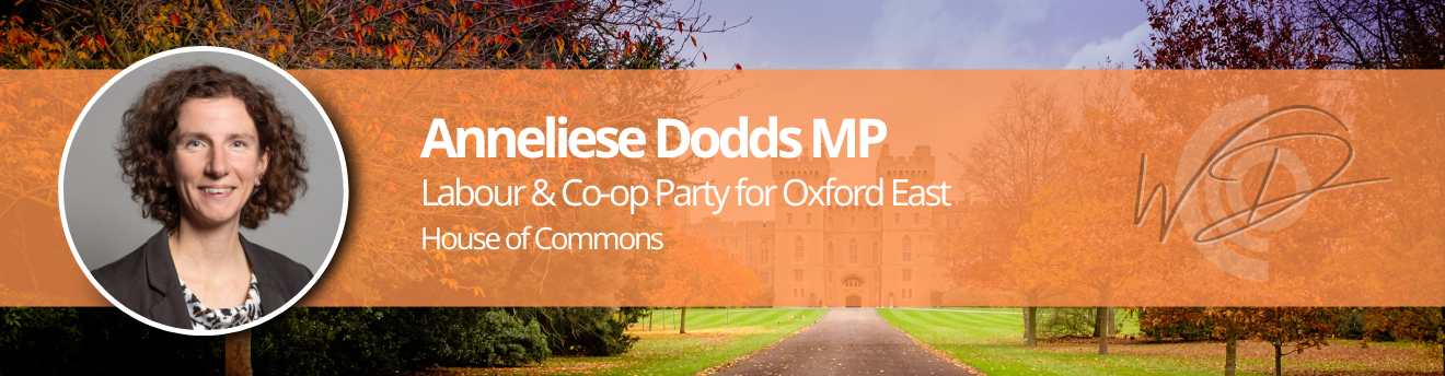 Portrait of Anneliese Dodds on an orange autumn campaign banner for Labour & Co-op, Oxford East – House of Commons (logo visible).