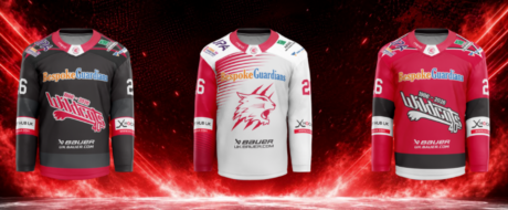 Three hockey jerseys on display against a red, neon-lit background: left dark gray with red accents and sponsor logos; center white and red with a lion logo; right red and black with similar sponsor artwork and 'Ludwonds 40' graphic.