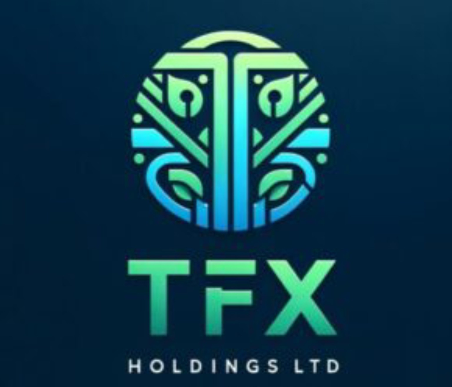 Tex Holdings Ltd logo: gradient circular emblem above the green-to-blue wordmark 'TEX' with 'HOLDINGS LTD' beneath on a dark background